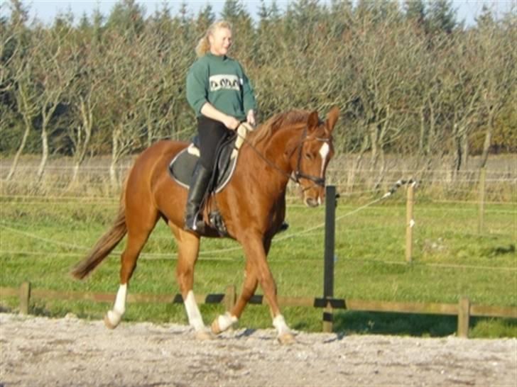 Anden særlig race Heimdals Spirit - Spirit med gamle ejer, lige inden jeg købte ham. billede 13