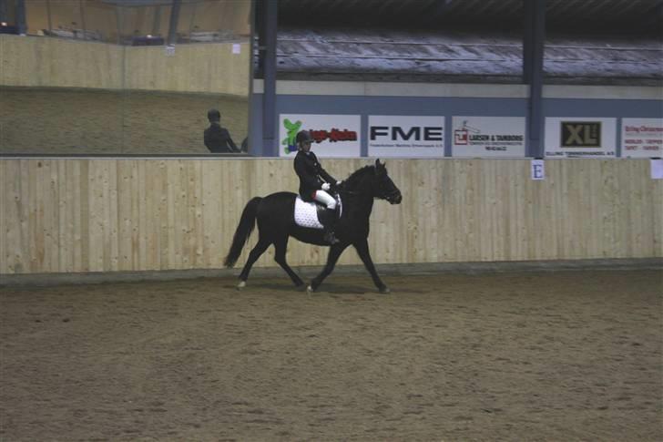 Anden særlig race Blade ( Solgt ) :( - hehe frk igen igen  billede 14