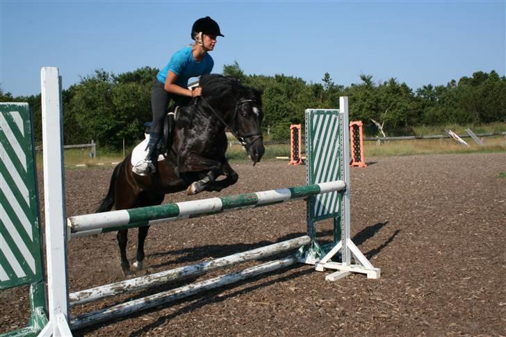 Anden særlig race Blade ( Solgt ) :( - her kommer vi :) billede 15