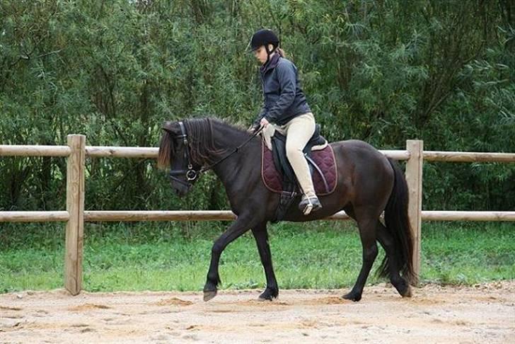 Islænder Prinsessa f. Midgaard billede 15