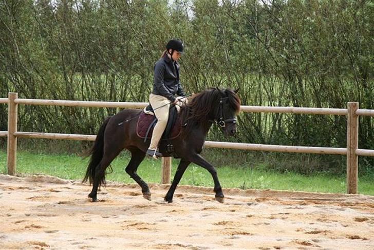 Islænder Prinsessa f. Midgaard billede 16