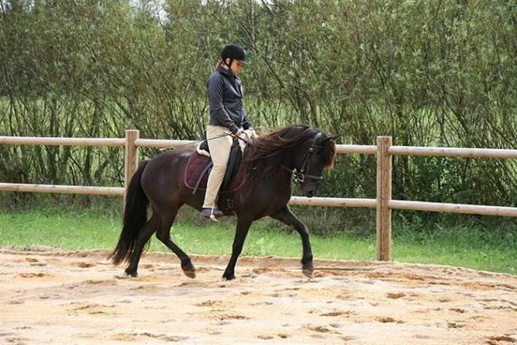 Islænder Prinsessa f. Midgaard billede 17