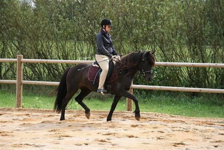 Islænder Prinsessa f. Midgaard billede 18