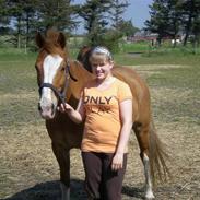 Anden særlig race Fortunes Spedy Consales