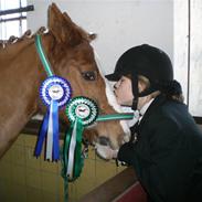 Anden særlig race Fortunes Spedy Consales