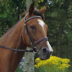 Traver Highlight<3†DØD†savnet:'(