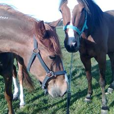 Traver Highlight<3†DØD†savnet:'(