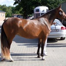 Frederiksborg Burgdorff Celine