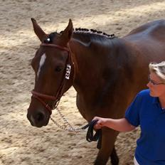 Frederiksborg Burgdorff Celine