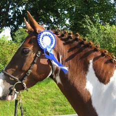 Pinto Karell Nyberg<3