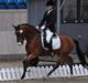 Tysk Sportspony Magic <3333 B-PONY