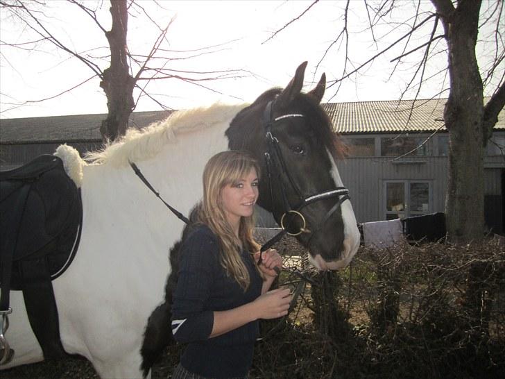 Anden særlig race Baltic Willow <3 billede 6