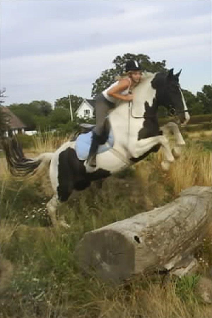 Anden særlig race Baltic Willow <3 - mange tak for billedet smukke Michella <3 :I  billede 10