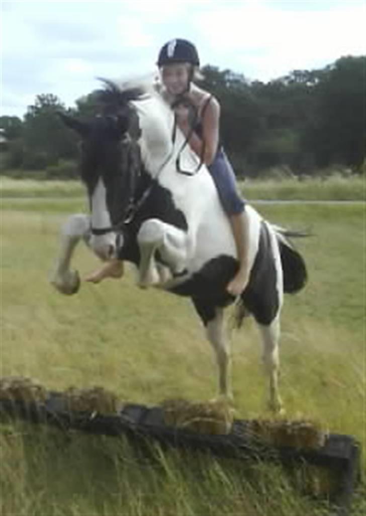 Anden særlig race Baltic Willow <3 - weee hvor er det her sjovt :) <33 billede 17