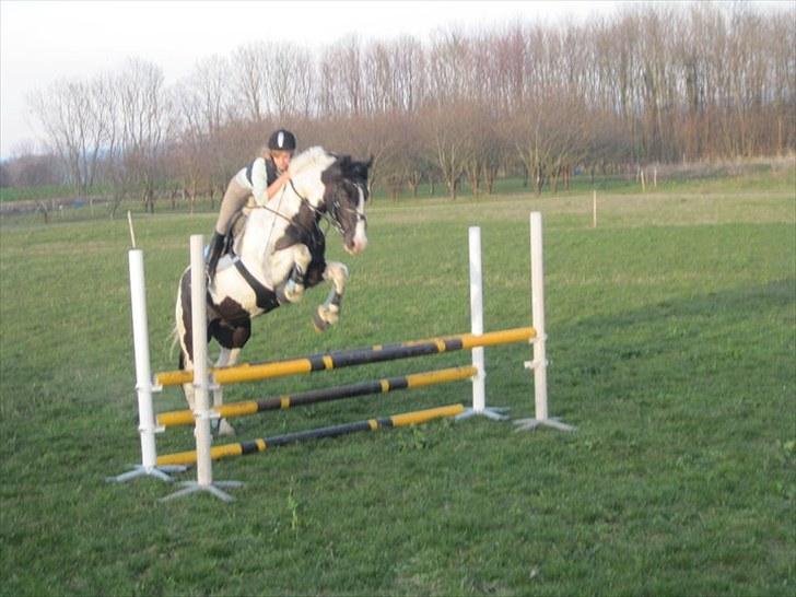 Anden særlig race Baltic Willow <3 - :D <3 billede 18