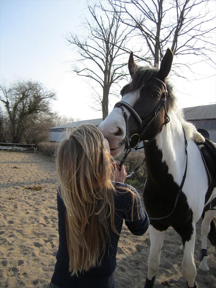 Anden særlig race Baltic Willow <3 billede 19