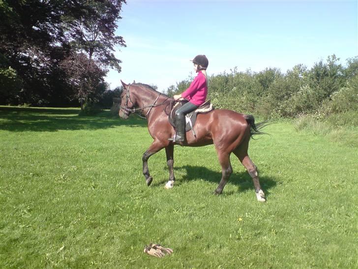 Traver Hr. Unispeed (Solgt) - Lillesøster Liv på 10 rider ham. Årh, han er så sød ved hende. billede 14