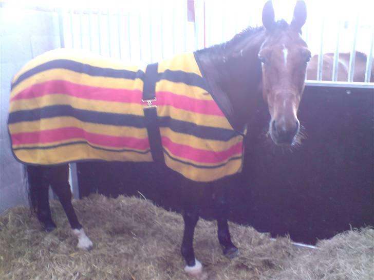 Traver Hr. Unispeed (Solgt) billede 16