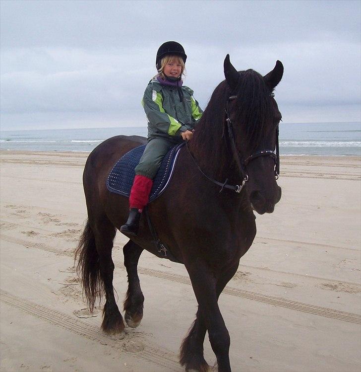 Frieser Oukje (Nellie) - Nellie og Louise på stranden:) billede 4