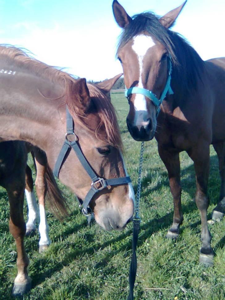 Traver Highlight<3†DØD†savnet:'( - highlight og han afdød brog foto mig billede 2