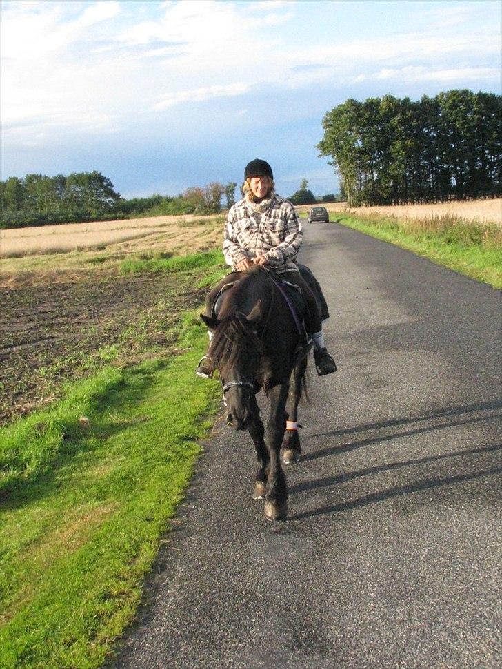 Frieser Oukje (Nellie) - Sensommer ridetur billede 8