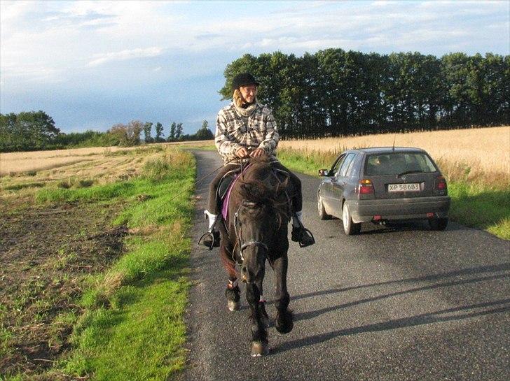 Frieser Oukje (Nellie) - Hun er ikke bange for bilen, hun ryster bare på hovedet billede 9