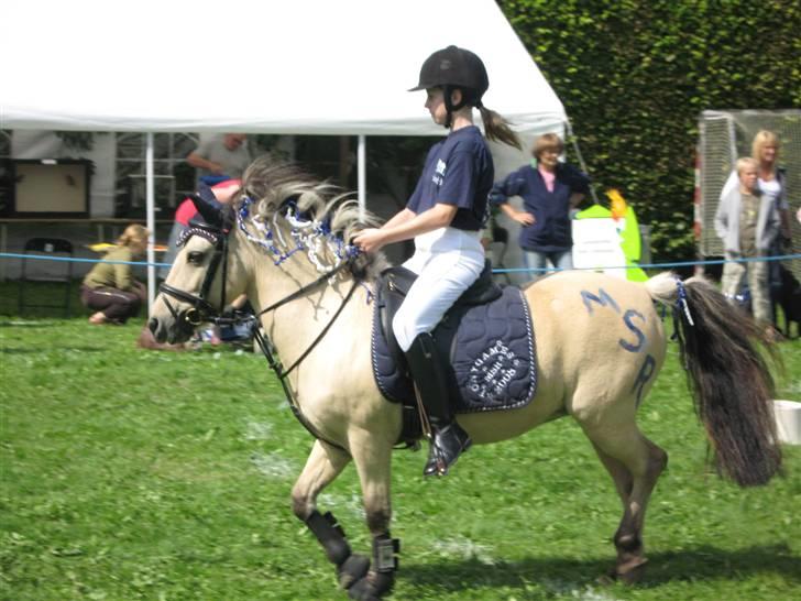 Anden særlig race Molly - slalom på borup dyreskue <33 billede 16