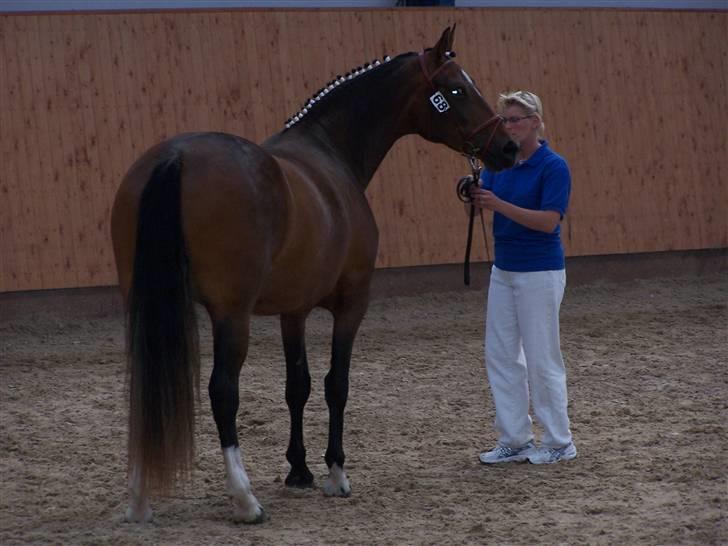 Frederiksborg Burgdorff Celine - Celine og Tine billede 5