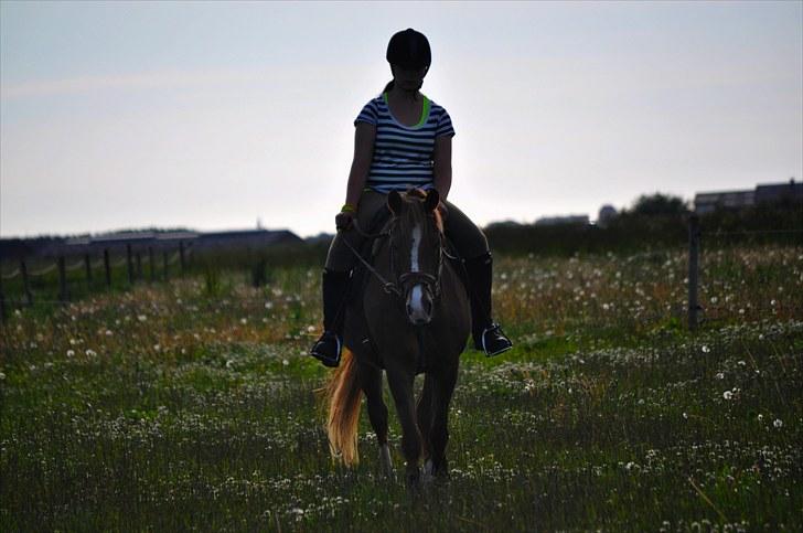 Anden særlig race Sonny  † RIP <3 - 7) Du min sol, og jeg elsker dig så sindsyg højt! Foto: Julie billede 7