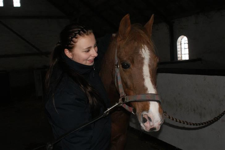 Anden særlig race Sonny  † RIP <3 - 8) Tidligt vinter 2010.<3  Foto: Mor billede 8