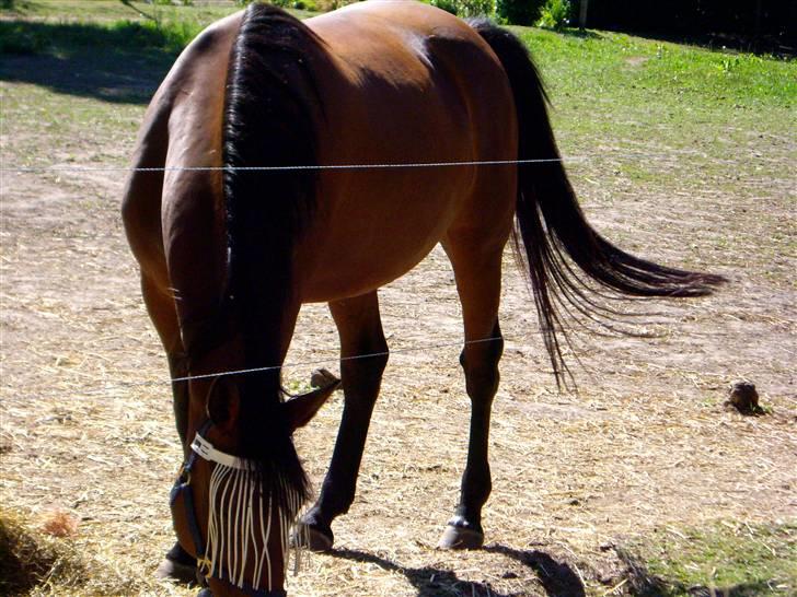 Traver Little Dreams (Dreamy)  billede 11