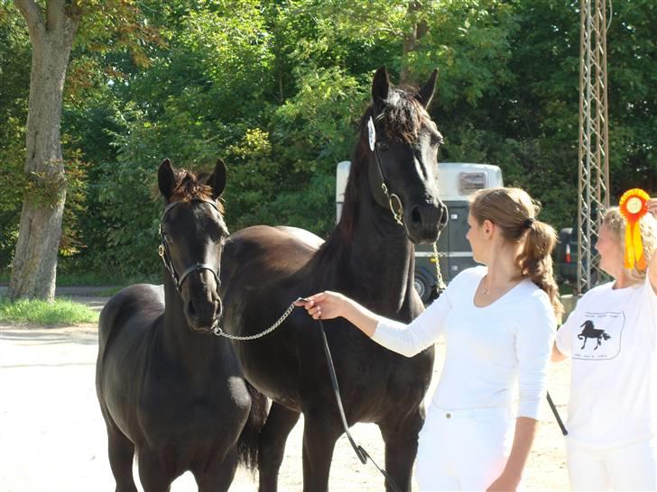 Frieser Antsje van de Martini - Kan i forstå min mor er stolt af mig:-) billede 15