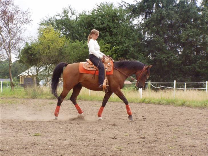 Anden særlig race Calando *RIP* billede 11