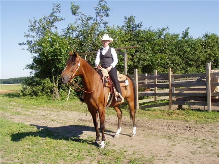 Anden særlig race Calando *RIP* billede 12