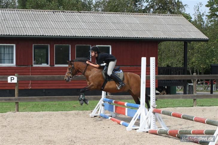 Anden særlig race Mister Mani - Spring dag *ISR* 60 cm :-)
*taget af lille catrine* billede 12