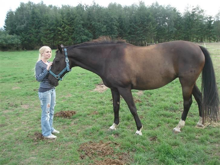 Dansk Varmblod Snow Bird SOLGT - Snow Bird og jeg, d 16 /8 2008 :) billede 2