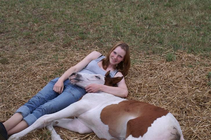 Pinto Enekær's Sambatino *Årets land og fritid hest* - Vi holder lige slap-af-pause..  billede 8