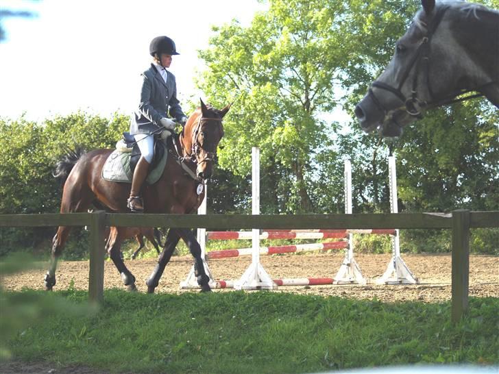 Anden særlig race º• Bastian <3 •º SOLGT - springstævne i dalby: opvarmining  billede 13
