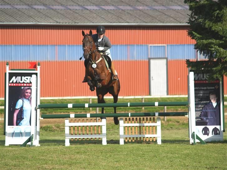 Anden særlig race º• Bastian <3 •º SOLGT billede 16