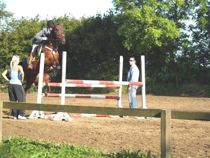 Anden særlig race º• Bastian <3 •º SOLGT - springstævne i dalby: opvarmining  billede 17
