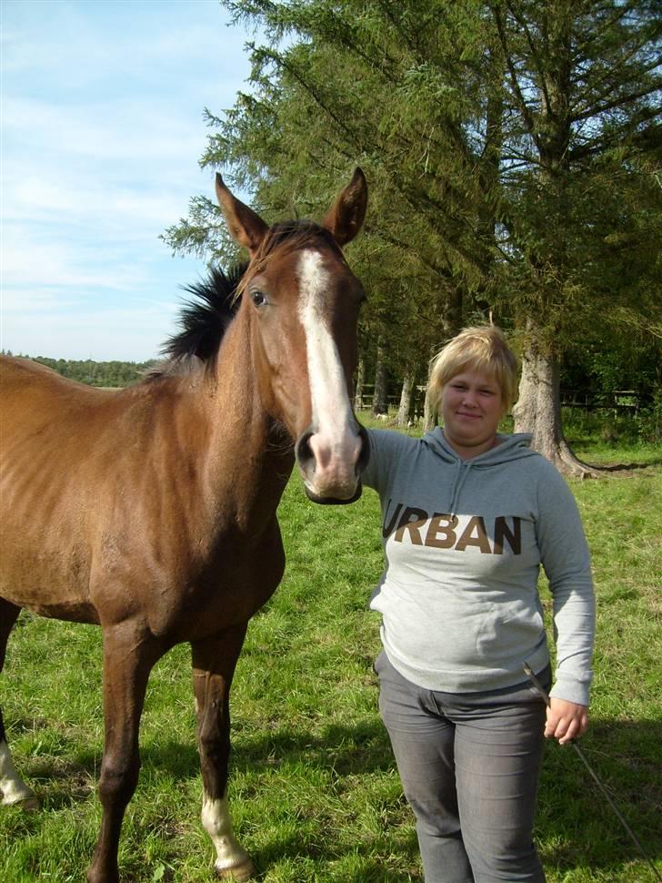 Anglo Araber (AA) Østergaards Casiro(SOLGT) - Mig og Casiro sommeren 2008 billede 5
