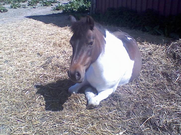 Anden særlig race min evigt elskede Fie †<3 - Dig&Mig   <3. billede 1