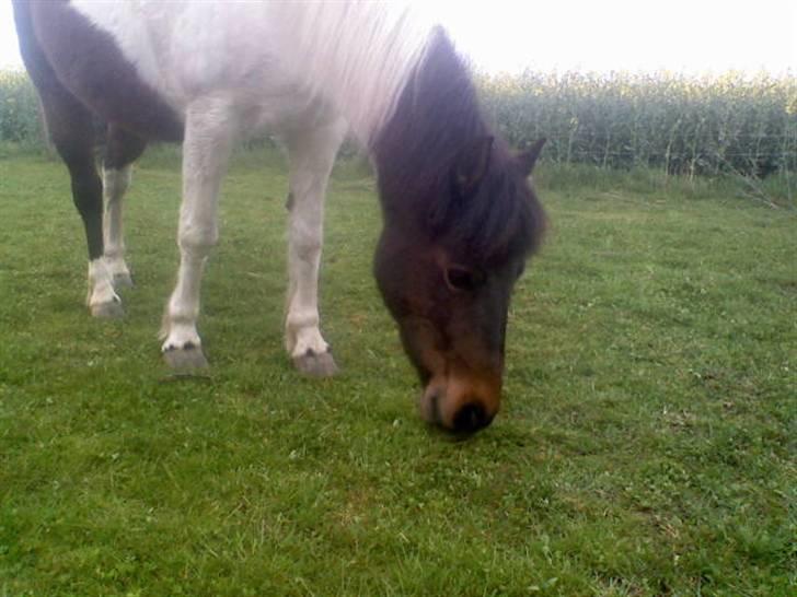Anden særlig race min evigt elskede Fie †<3 - Ooooog der guffes (; billede 7