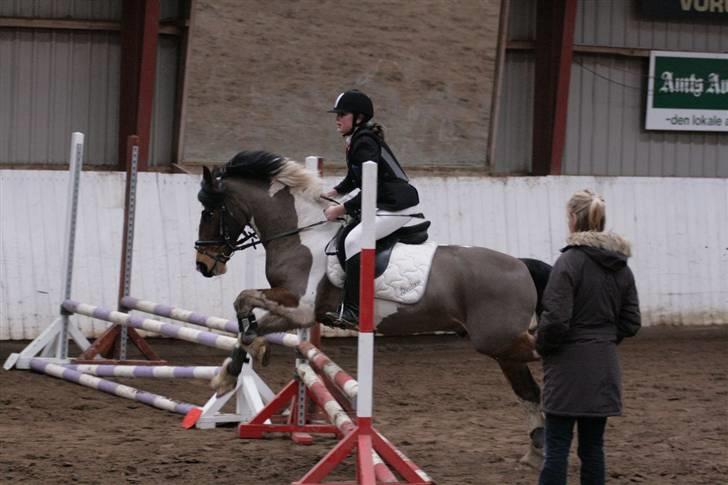 Pinto Shadow billede 9