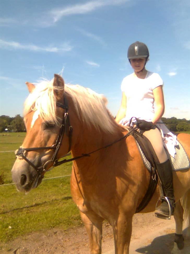 Haflinger Toby. <3 - Flotte toby & mig er ude i det dejlige vejr :)   |Tak fordi i kiggede :D| billede 19