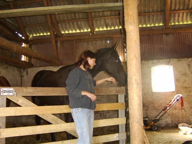 Anden særlig race Frederik *Solgt* billede 15