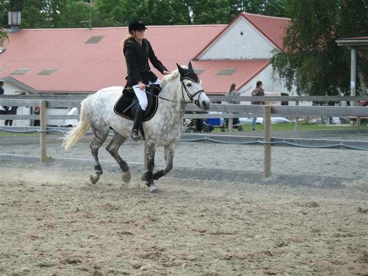 Anden særlig race Bianca RIP ;s - bianca og jeg i en æresrunde - jeg elsker dig(L). billede 10