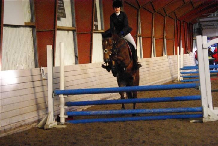 New Forest Don Juan <3 *red engang* - 18# NYYT! | Strk. stævne d. 1 februar , 80 cm. :D billede 18