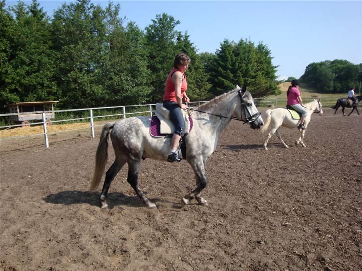 Cruzado Thorsvang´s Don Juan - min mor rider billede 2