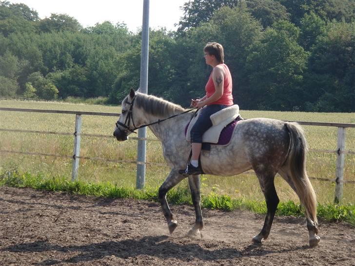 Cruzado Thorsvang´s Don Juan - er han ikek bare køn? billede 5